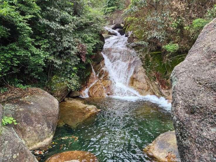 植物大战僵尸4