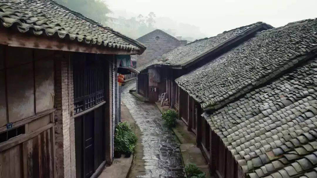 生化奇兵：无限
